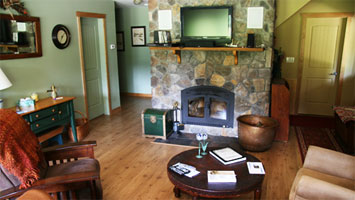 Living Room Fireplace